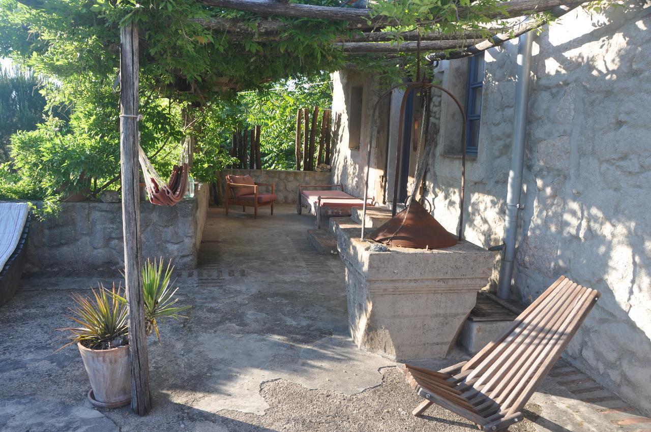 Pepper Holiday home